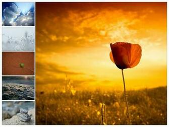 Of Now Ubuntu S Default Wallpaper Haven T Been Removed Either