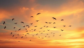 Birds Flying Wallpaper