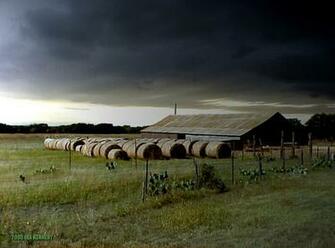 Texas Wallpaper