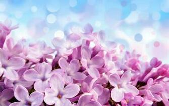 Romantic Wallpaper HD Heart Love 4u