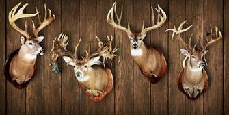 Legendary Whitetail Bucks