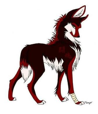 Anime Wolf Wolves Fan Art
