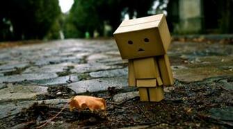 Danbo Flower In Park HD Wallpaper Pretty