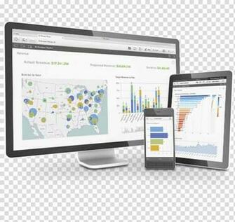 Qlik Business Intelligence Data Visualization Analysis