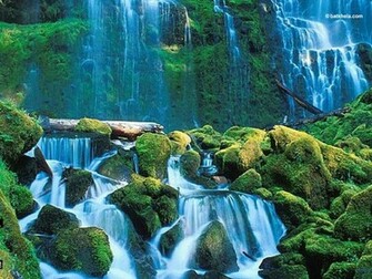 Nature Mother Wallpaper