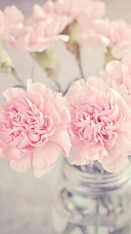 Cute Pink Peonies iPhone Wallpaper Preppy Floral