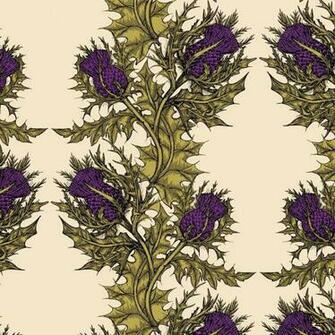 Timorous Beasties Grand Thistle Hand Print Wallpaper