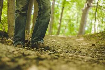 HD Wallpaper United States Sterling Heights Jaycee Park Green