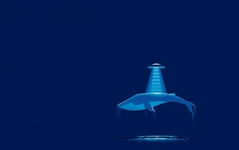List Nation Wallpaper Minimalist Funny