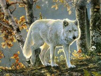 Forest Animals Image My HD