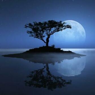 I Stand Alone Samsung Galaxy Tab Wallpaper Tablet