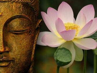 Buddha Picture Background Wallpaper Desktop