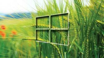 Windows Wallpaper Computer