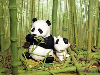 Cartoon Panda Wallpaper