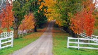 Season Nature Autumn World Roads Michigan Wallpaper