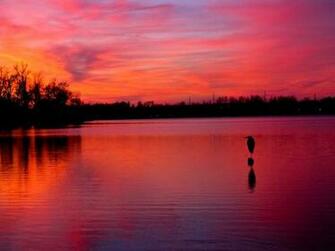 Pink Beach Sunset Wallpaper Car Pictures
