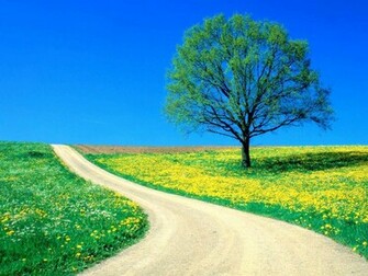 Beautiful Spring Wallpaper Of Flowers