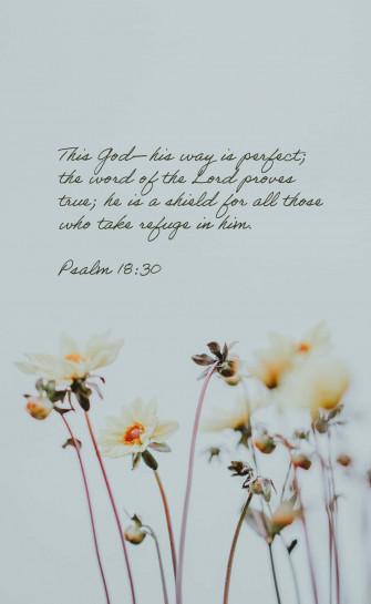 Bible Verse Phone Wallpaper