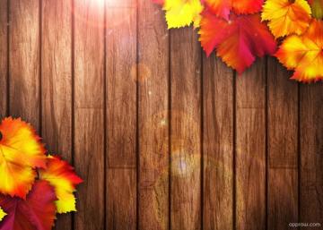 Autumn Wooden Background Wallpaper HD