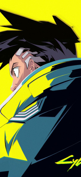 4k Wallpaper For Mobile 1080p Anime Hero