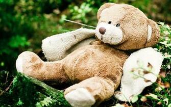 Teddy Bear Toy Theme Photography Wallpaper Green Grass