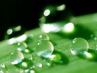 Green 3d Wallpaper Background