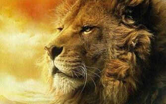 S1600 Aslan Jpg