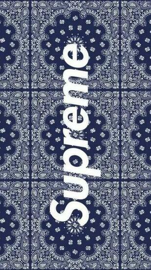Supreme Louis Vuitton Sumacase