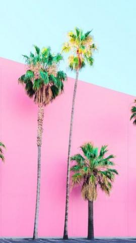 Ring In Summer With These Cute Phone Wallpaper Of