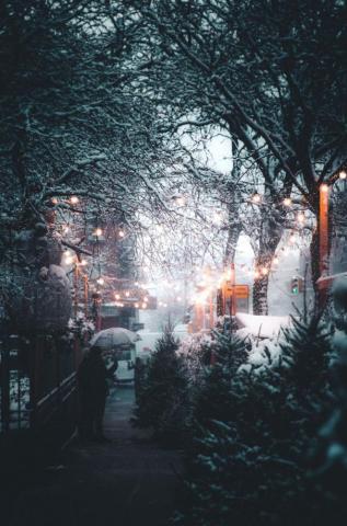 The Beauty Of This World