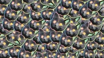 Ofwgktadgaf Wallpaper Top Background