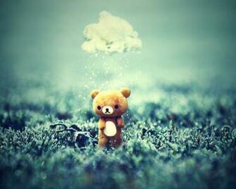 Bear Wallpaper Desktop