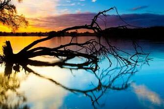 Branches Wallpaper Nature Lakes HD Desktop