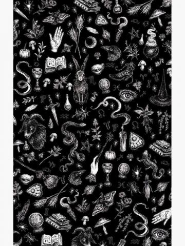 Salem Witch In Black Case Skin For Samsung Galaxy By Brett