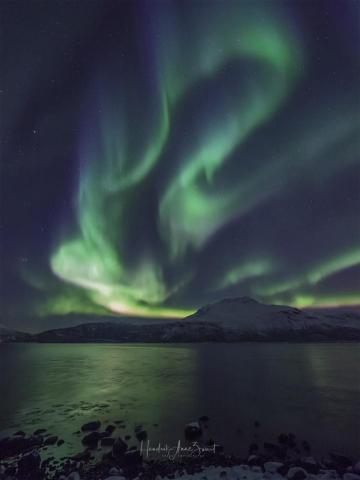 Northern Lights Focus9 Photography