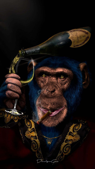 Monkey iPhone Wallpaper