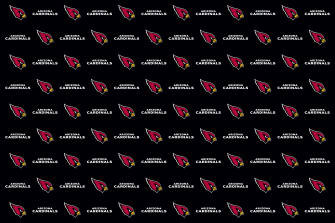 Arizona Cardinals Photos