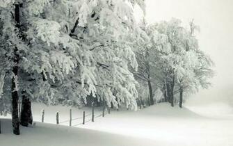 Not Out The Snow That Is Only In Mind And Our Imagination