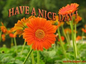 Have A Nice Day