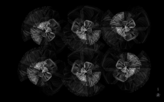 Ghostly International Media