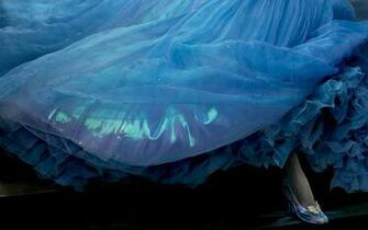 Things You Did Not Know About Cinderella S Dress