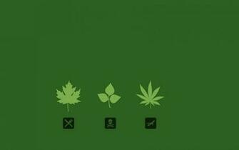 Marijuana Wallpaper