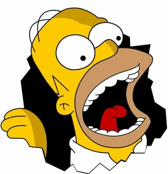 Net Fs23 I Homer Jpg