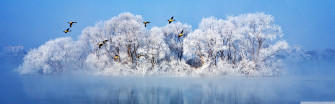 Most Beautiful Winter Ultra HD Desktop Background Wallpaper For 4k
