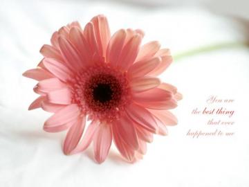 Love Quote Desktop Wallpaper High