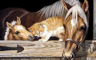 Beautiful Horse Horses Wallpaper