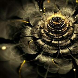 Black And Gold Wallpaper For