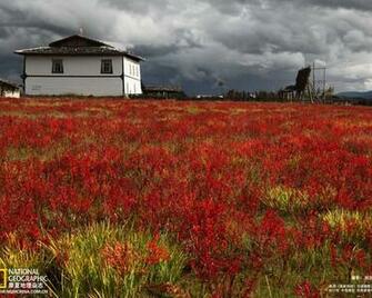 Landscape Wallpaper Windows