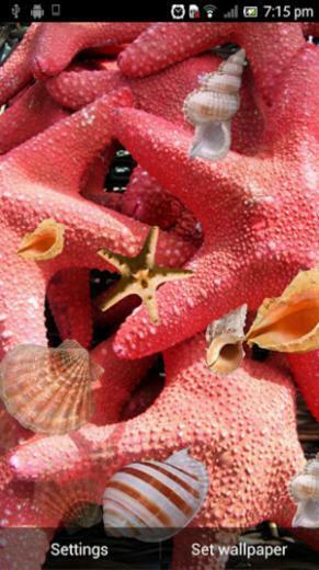 Under The Sea Live Wallpaper For Android