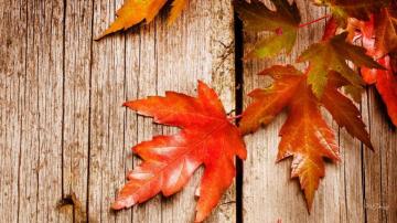 Rustic Fall Wallpaper Top Background